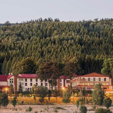 Malinowy Dwor Hotel Medical Spa Сверадув-Здруй Экстерьер фото